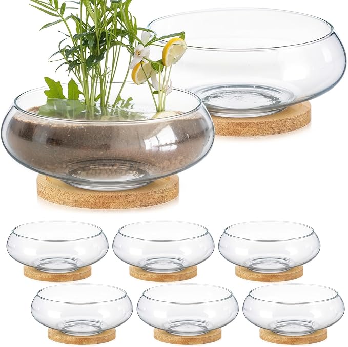 8 Sets Glass Planter Bowls for Flowers with Tray 6'' Round Glass Vase Bowl Hydroponic Lotus Planter Pot Propagation Vases Fish Bowl for Plants Indoor Windowsill Kitchen Desktop Wedding Decor