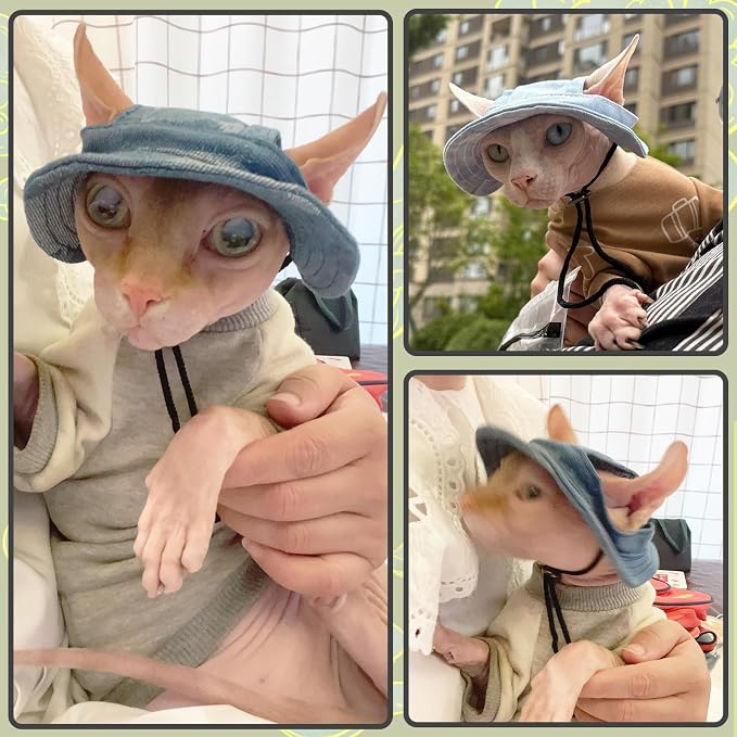 DENTRUN Cat Bucket Hat with Ear Hole, Cotton Birthday Bonnet for Small Pets | Breathable cotton, Adjustable Secures fit, For birthday Party, For small cats, daily cute photos