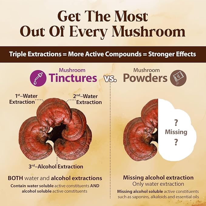 Dragon Herbs Duanwood Reishi Drops • Mushroom Supplement • Mountain Organically Log Grown • Triple Extractions • for Immunity, Sleep, Heart, Liver, Stress, Super Potency Fast Acting • 2 fl oz, 60 mL