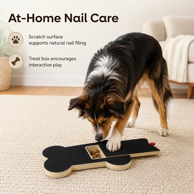 Dog Nail Scratch Board Scratcher Treat Dispenser Non-Slip Nail File Board