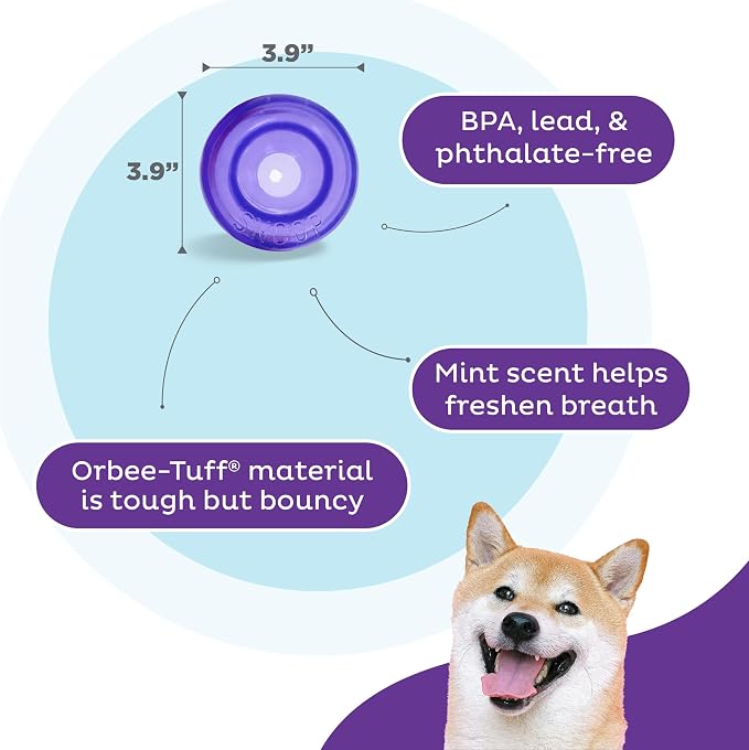 Outward Hound Lil' Snoop Interactive Treat Dispensing Dog Toy, Purple, 3.9" | Rolls & Bounces, Treat Stuffer, Puzzle Ball & Slow Feeder, Mint Scented, Easy Clean, No BPA, Enrichment, Small to Medium Dogs