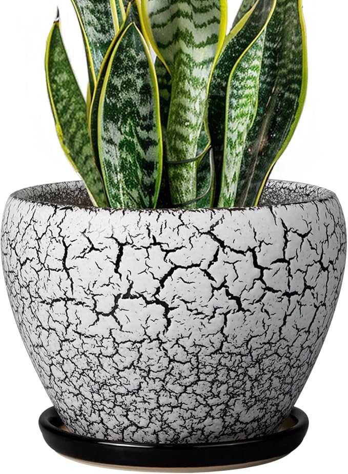 Ceramicfor Ceramic Plant Pot 8 Inch - Ceramic Planter for Indoor Plants, Round Flower Pot with Drainage Hole and Saucer, Glaze White and Black