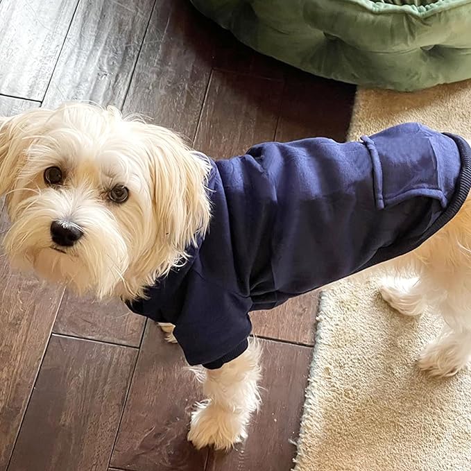 Soft Dog Hoodies for Small Dogs, Warm Fleece Puppy Clothes with Pocket | Jecikelon cold weather coat, cute puppy costume, breathable sweatshirt for dogs girl & boy, machine washable, easy on & off