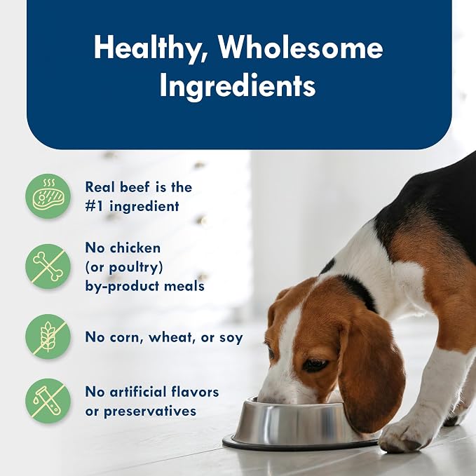 Blue Buffalo Delights NY Strip Small Breed Wet Dog Food, 3.5 oz, 12 ct | Grain-Free, Real Beef First, in Hearty Gravy, No Corn, Wheat, or Soy