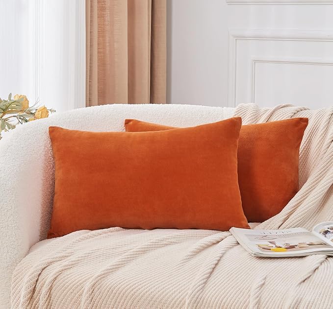 Throw Pillow Covers Burnt Orange Set of 2 12x20 Inch Fall Pillow Covers, Soft Velvet Farmhouse Neutral Lumbar Decorative Pillowcases for Couch Sofa Bed, Home Boho Decor, Modern Cushion Covers
