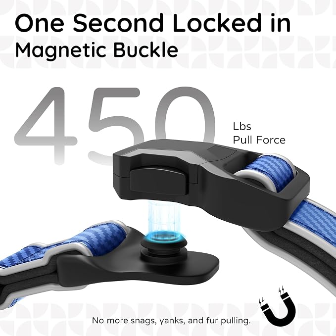 Leather AirTag Dog Collar, Magnetic Buckle, Reflective, C-Blue L