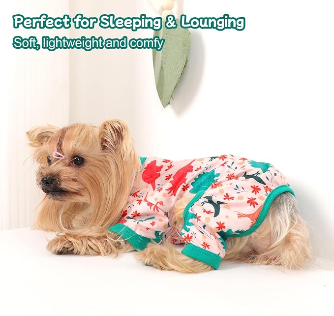 DaFuEn Dog Pajamas for Small Dogs, Soft Stretchy 4 Legs Puppy Jumpsuit, All Season Cozy Pet PJs for Chihuahua Yorkie Teacup Dogs, Cat Clothes (Green Dinosaur, S)
