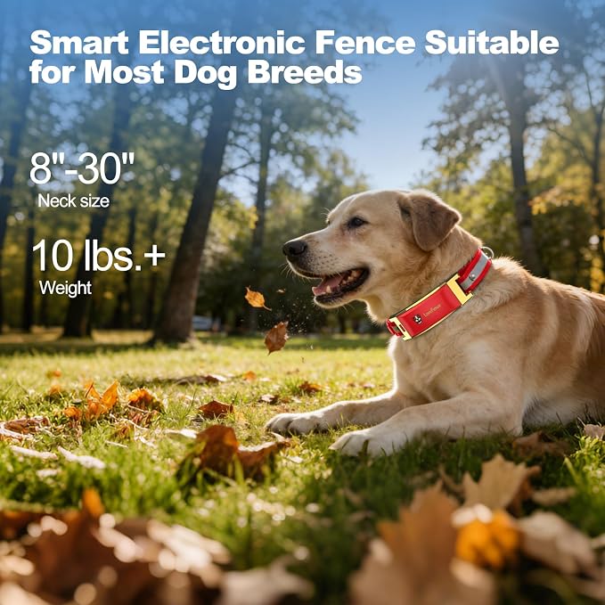 GPS Wireless Dog Fence, No Monthly Fee for Medium & Large Dogs