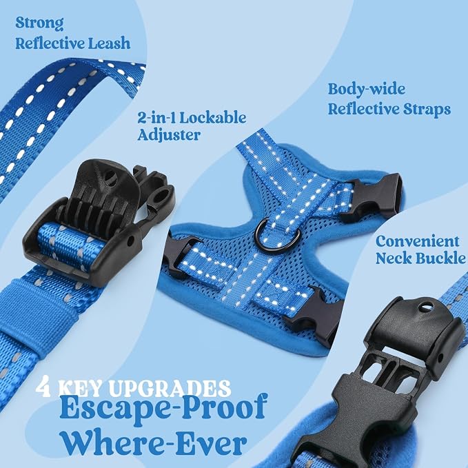 rabbitgoo Cat Harness and Leash, Easy-on with Neck Buckle, Royal Blue