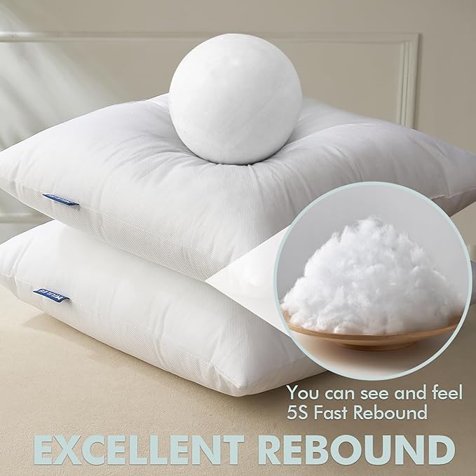 MIULEE Pillow Insert 18x18 Inch Set of 2, Decorative Throw Pillow Inserts | Premium Fluffy Pillow Forms Sham Stuffer for Sofa Couch Living Room