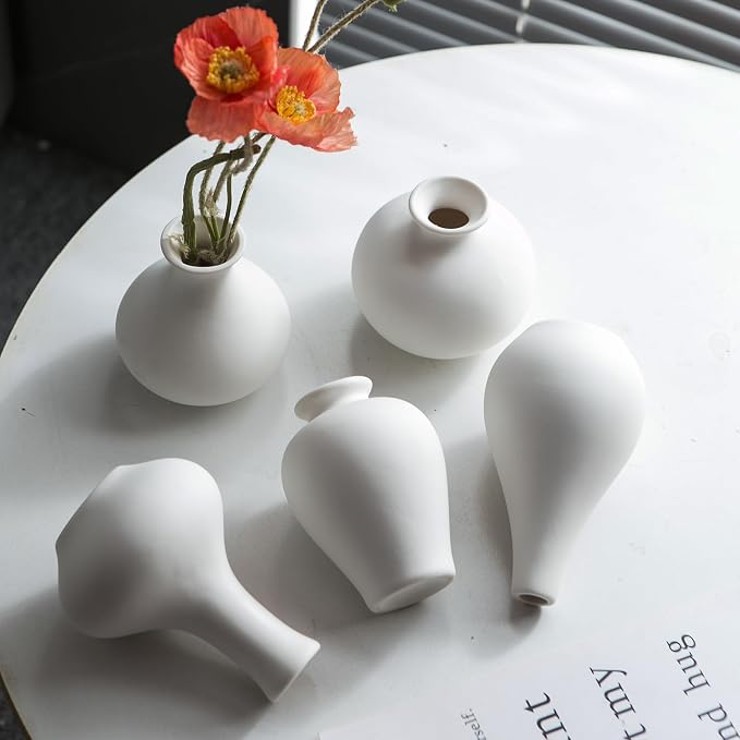 Tanvecle Small White Vases, Ceramic Bud Vase Set of 5, Mini Pottery Vases for Pampas Grass, Flowers, Decorative Vases for Home Modern Decor, Rustic Decor, Veses for Living Room Dining Table Shelves