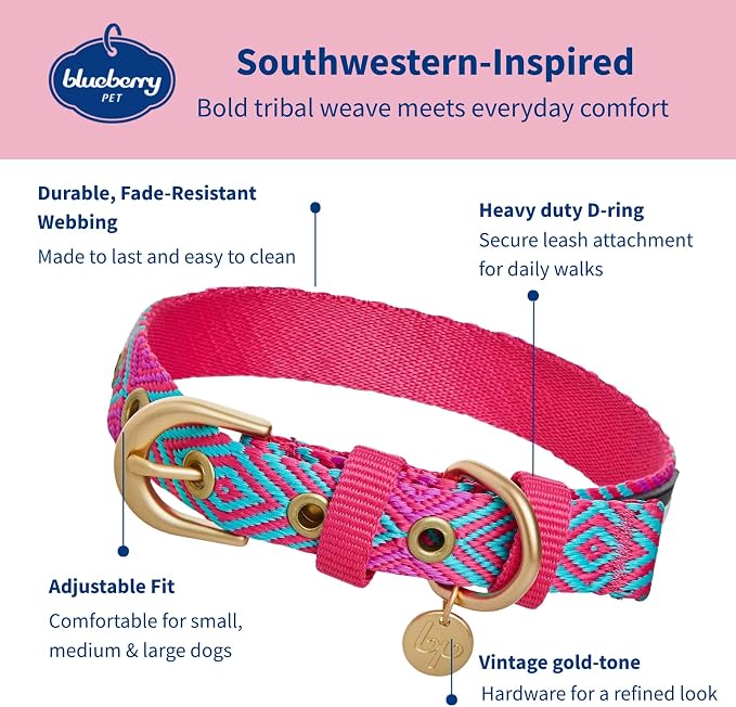 Blueberry Pet Southwestern Tribal Lozenges French Pink Adjustable Dog Collar with Metal Buckle, Neck 13-16.5", for Medium Breed