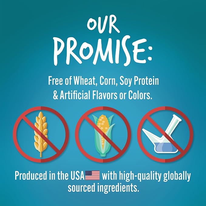 Fruitables Biggies Dog Biscuits, Pumpkin Treats for Dogs, Healthy Doggie Biscuits, Crunchy Treats, No Wheat, Corn or Soy, Made in The USA, Almond Butter and Coconut Flavor, 16oz (Pack of 2)