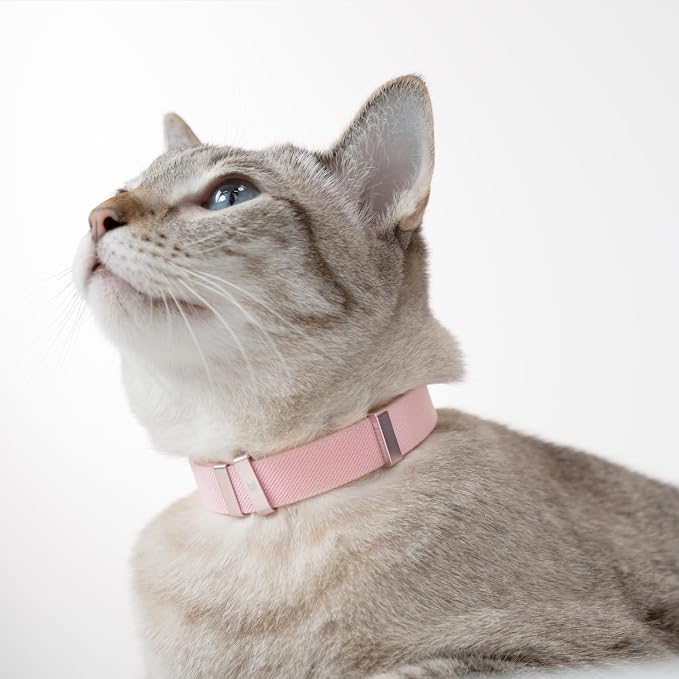Safety Cat Collar - U.S. IDA Gold Awarding Design, Stretch Elastic Quick Release, Non Breakaway - Light Weight for Kitten, Neck Fit 5.9'-11.8' for All Small Large Cat,S(Blurple)