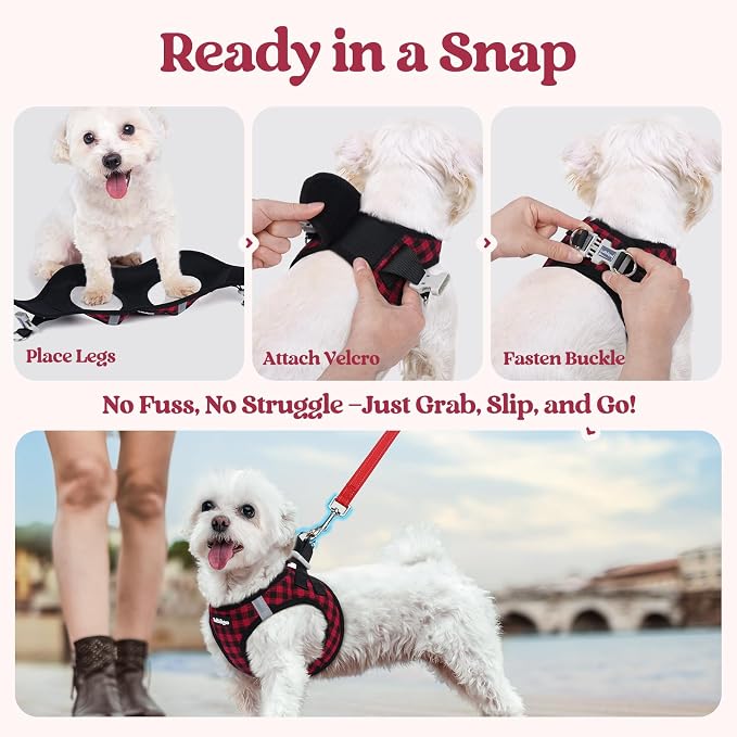 rabbitgoo Dog Harness Small Sized and Leash Set, Step-in Puppy Pet Vest | Light, Soft, Breathable Air Mesh, Easy on and Remove with Hook & Loop, Secure Reflective for Walking, Red Check S