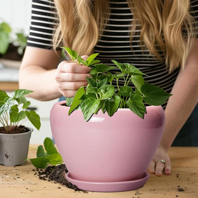 Ceramicfor Ceramic Modern Glaze Succulent Planter Pot with Drainage Hole and Saucer 8 Inch Round Flower Plant Pot for Indoor Outdoor Herb Snake Plants, Pink