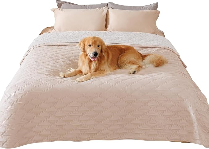 Luciphia Waterproof Couch Cover for Dogs, Non-Slip Pet Sofa Protector | Non-slip waterproof couch cover scratch-resistant machine washable protects sofa bed from spills fur, Light Beige, 82" x 120"