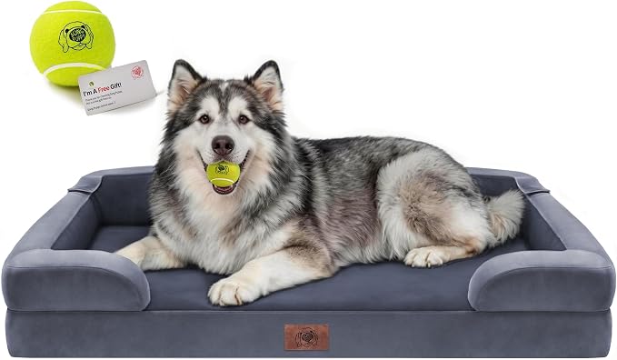 Waterproof Orthopedic Dog Bed for Extra Large Sized Dogs | Memory Foam Pet Bed Sofa with Bolster, Dog Couch with Washable Cover & Non-Slip Bottom, 48x30 Inch, Dark Grey