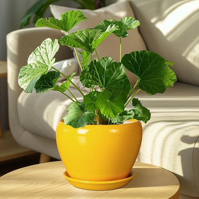 Ceramicfor 8 Inch Plant Pot - Glaze Modern Round Ceramic Planter for Indoor Outdoor Plants with Drainage Hole and Saucer for Home Patio Room Office Decor, Yellow