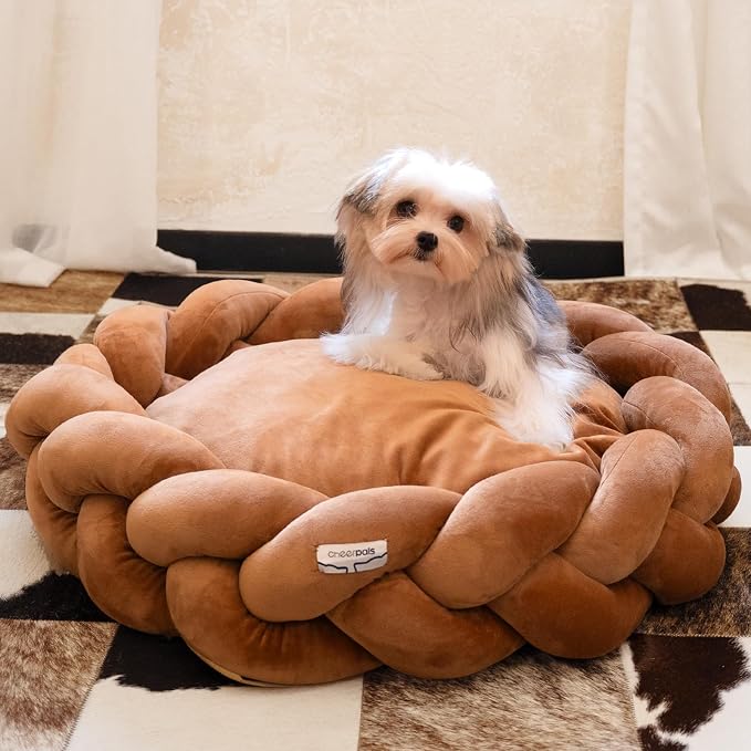 CHEERPALS Weave Cat Bed for Indoor Cats,Cute Pet Bed with Washable Cushion Fluffy Kitty Bed for Small Dog(Caramel)