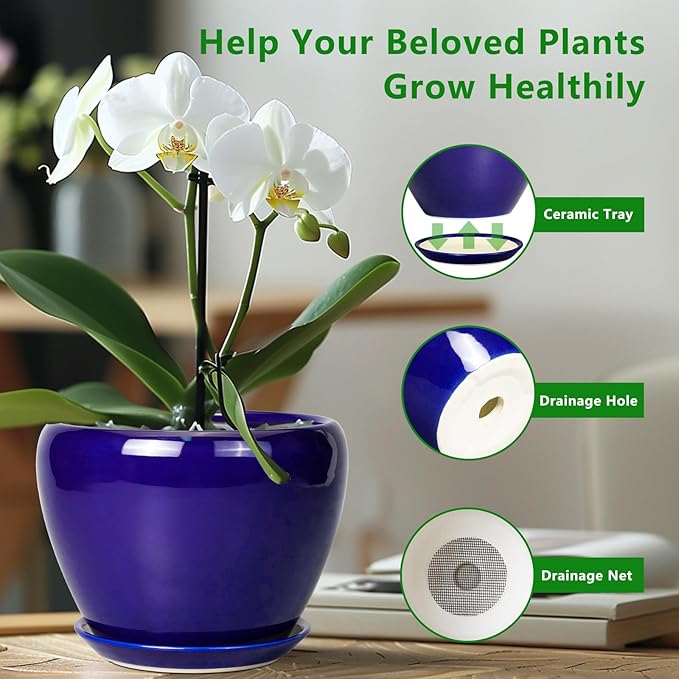 Ceramicfor 6 Inch Plant Pot - Ceramic Pots for Plants Succulent Pot with Drainage Hole and Saucer Round Planter Outdoor Flower Pot for Herb Snake Plants Blue