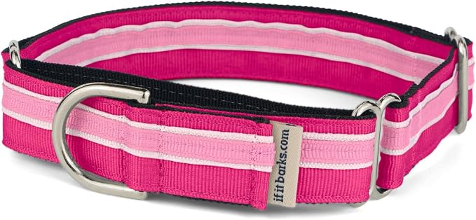 If It Barks 1" Martingale Collar for Dogs, Adjustable Nylon, USA Made, Medium, Bubble Gum