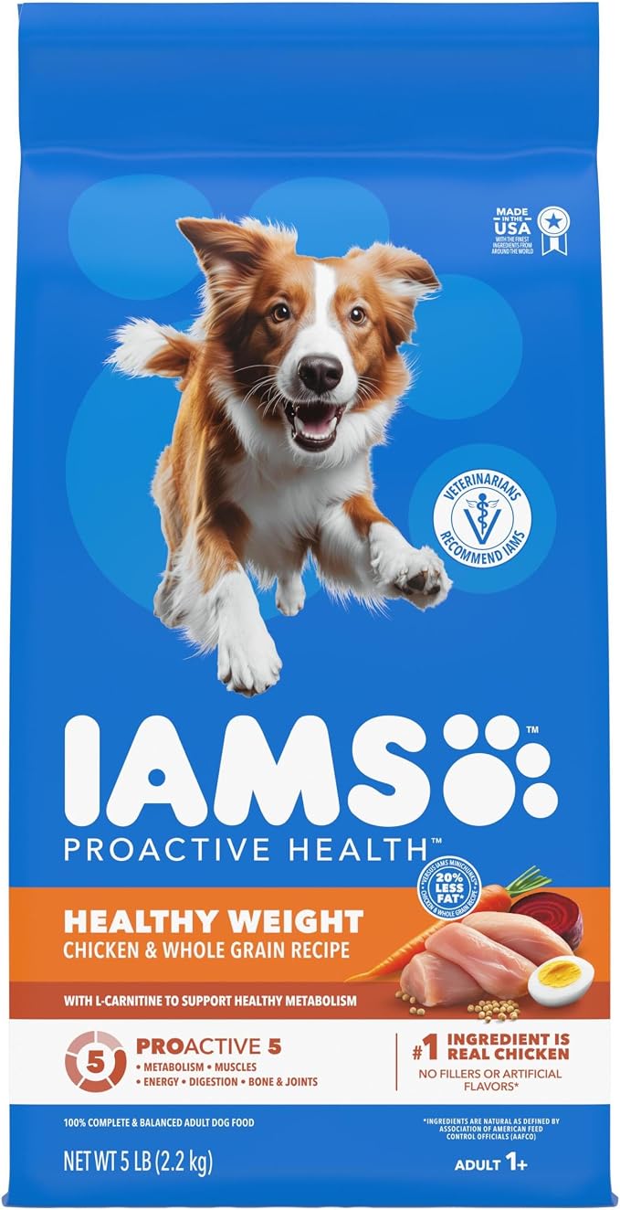IAMS Proactive Health Healthy Weight Dry Dog Food, Chicken, 5 lb | Real chicken #1 ingredient, L-Carnitine for metabolism, strong muscles, no fillers or artificial flavors, vet-recommended