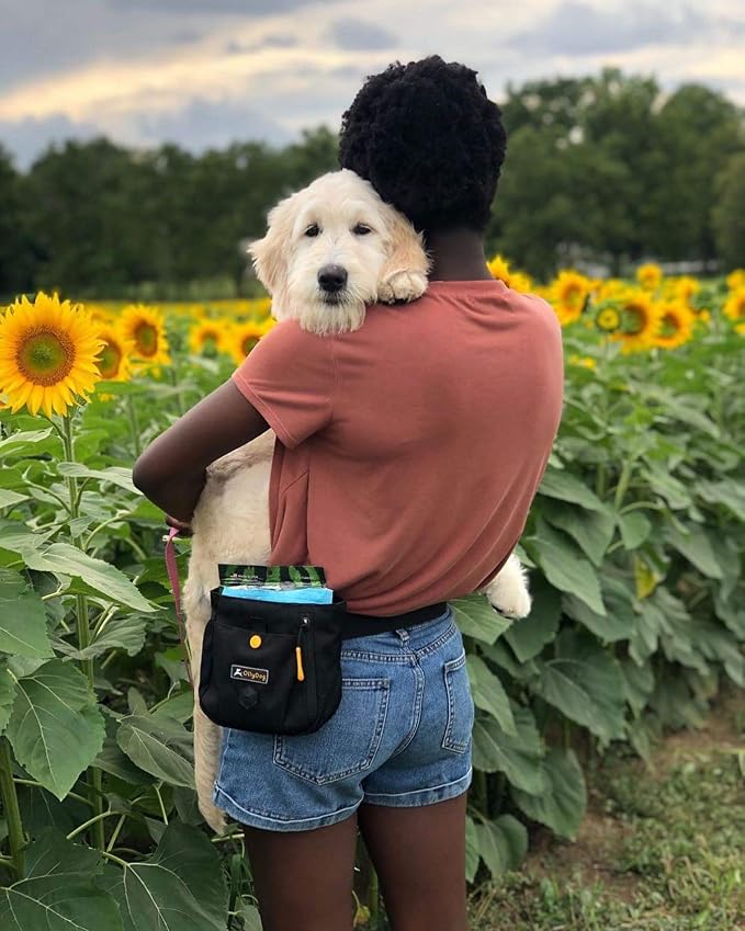 OllyDog Backcountry Day Bag | Hands-Free Dog Training Treat Pouch | Fanny/Hip Pack with Zipper Closure & Built-in Poop Bag Dispenser | Removable Waist Clip (Raven)