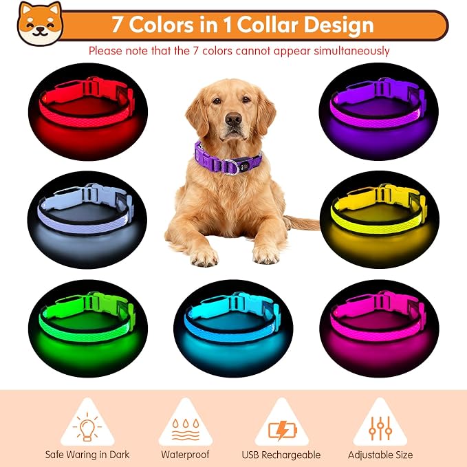 LED Dog Collar, Light Up Dog Collar,for Night Walking(Large,Purple) | Adjustable,Bright RGB 7 Colors Light Glowing Collar,Waterproof,Nylon,Soft,For Medium and Large Dogs,USB C to Charge