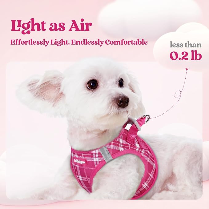 rabbitgoo Dog Harness Small Sized and Leash Set, Step-in Puppy Pet Vest | Light, Soft, Breathable Air Mesh, Easy on and Remove with Hook & Loop, Secure Reflective for Walking, Rose Red Plaid XS