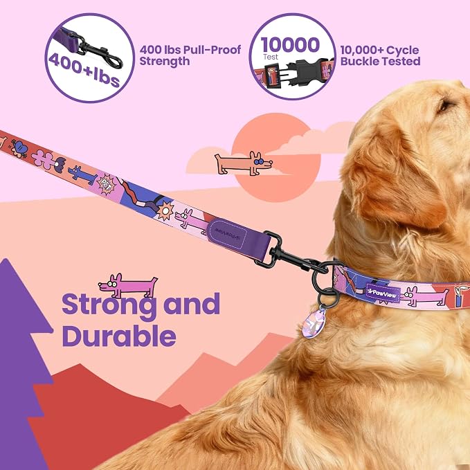 Dog Collar and Leash Set with QR ID Tag, 5 FT Leash, Purple, M
