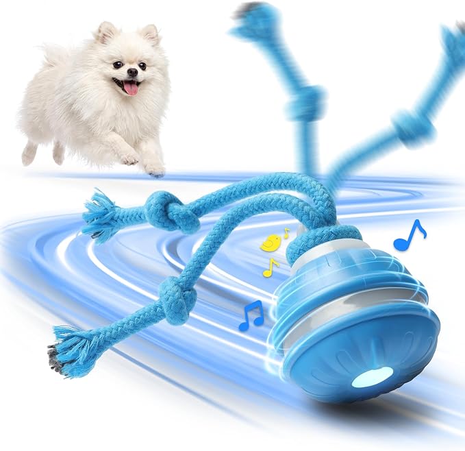 Interactive Small Dog Toys Ball, Smart Automatic Moving Rolling Dogs Toy | Interactive Dog Ball for Small & Medium Dogs, 3 Modes with Bird Chirps&RGB Lights, Bite-Resistant Rope, IP54 Waterproof(Blue)