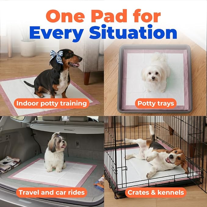Best Pet Supplies Dog Training Puppy Pee Pads - Pink, 300 Count | 22.5x22" Potty Pads, Super Absorbent, Disposable, Leakproof, Keeps Floors Protected & Paws Dry, For Indoor Dogs, Odor Control