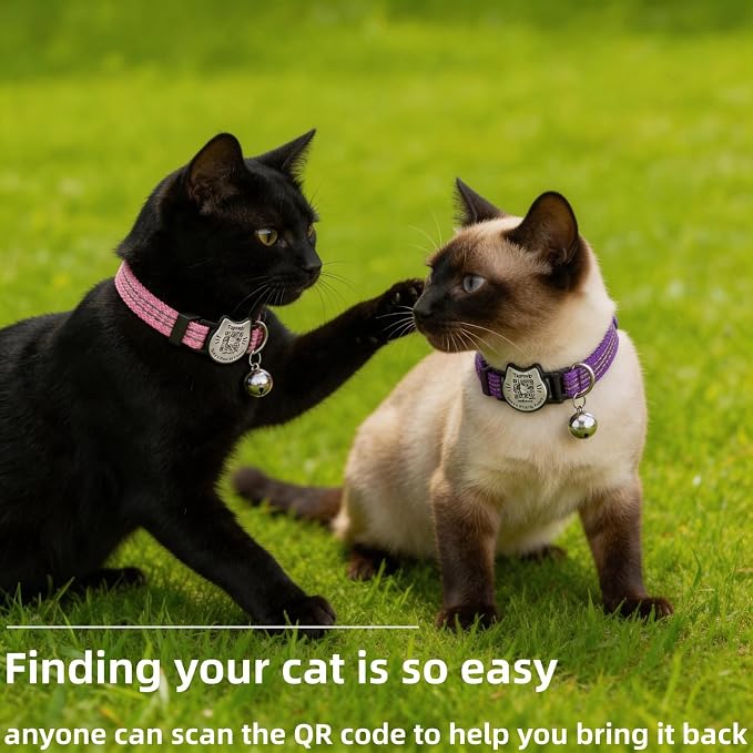 Breakaway Cat Collar with QR Code Tag and Bell (Pink & Purple) | Reflective Nylon, Quick-Release Buckle