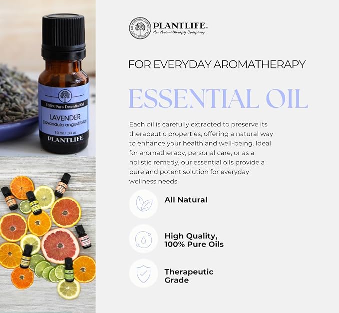 Plantlife Spearmint Aromatherapy Essential Oil - Straight from The Plant 100% Pure Therapeutic Grade - No Additives or Fillers - 30 ml