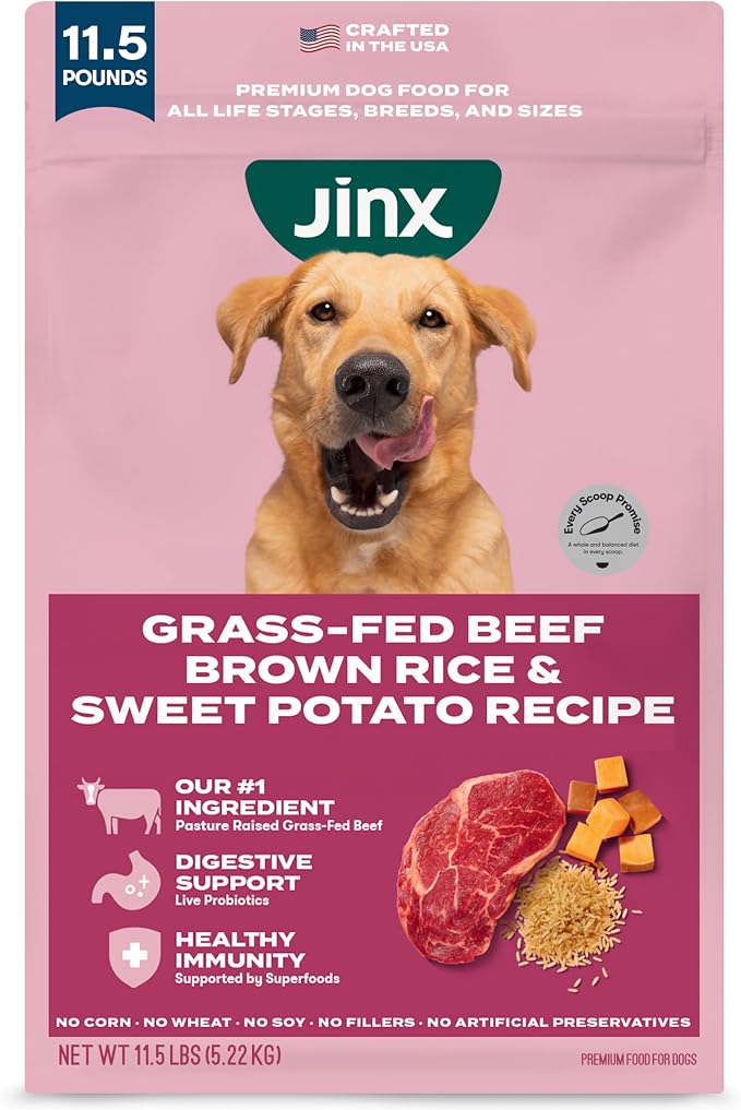 Jinx Dry Dog Food - Grass-Fed Beef, Brown Rice & Sweet Potato, 11.5lb | Premium Kibble for Digestive Support & Healthy Immunity - No Fillers, All Lifestages (Puppy, Adult & Senior), Breeds & Sizes