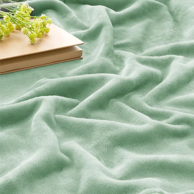 BEDELITE Fleece Blanket Soft Plush King Bed Blanket Mint Green 108"x90" | Ultra Soft Fleece, Plush Microfiber, Lightweight Warmth, All Season Comfort, Fade Resistant, Machine Washable