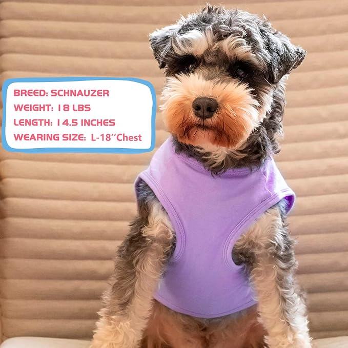 KYEESE 2Pack Cotton Dog Shirt for Small Dogs Soft Striped Tank Top | Reflective for Safety, Lightweight & Breathable, Gentle on Sensitive Skin, Stretchy & Free to Move, Comfortable Daily Wear