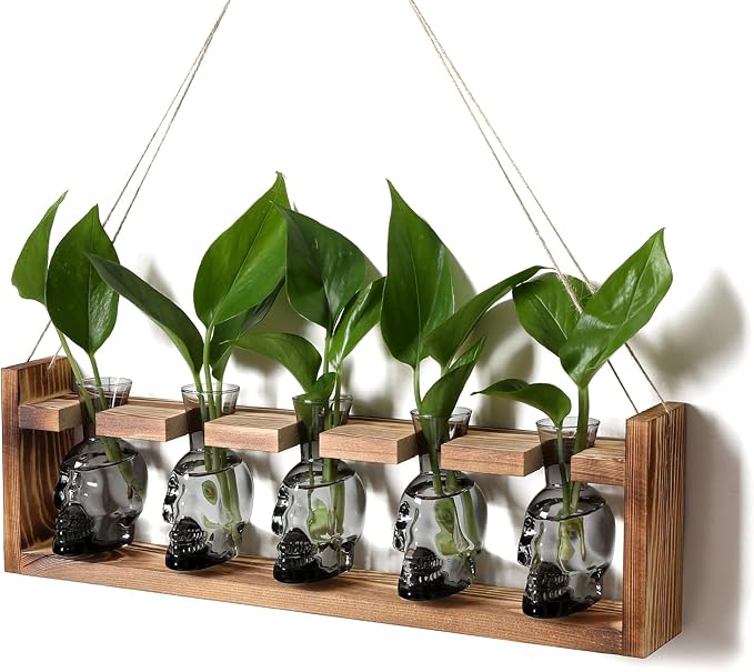 Plant Terrarium Propagation Stations Halloween Skull Planter Vase Skulls | decor With Wooden Stand Gife for Father - 5 Vases