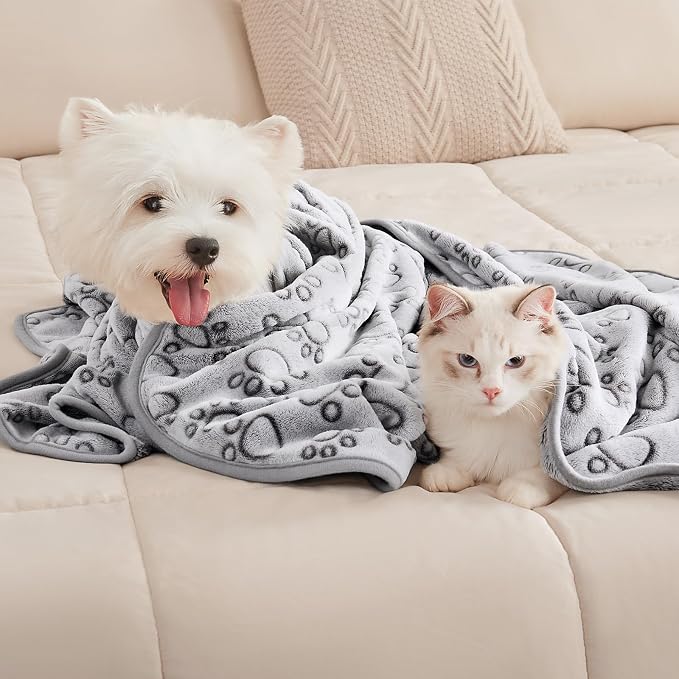 Luciphia Dog Blanket 3 Pack, Soft Cozy Fleece Throw for Puppy Cat,30"x20" | Fuzzy Flannel Small Pet Blanket Washable, Cute Paw Print for Crate Car Bed. Puppy Essential,Cat Stuff Gifts,Medium