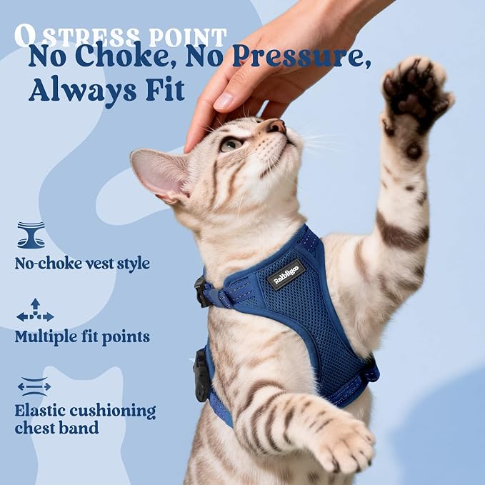 rabbitgoo Cat Harness and Leash Set, Easy-on with Neck Buckle, Navy Blue