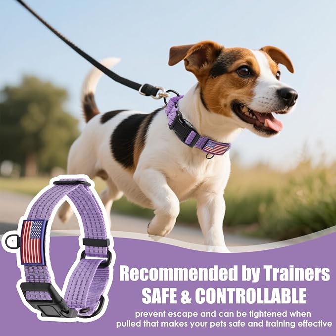 Martingale Dog Collar Reflective with USA Flag Patch, Lavender, L