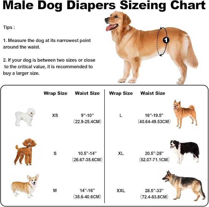 Washable Male Dog Diapers Reusable, Premium Belly Bands for Male Dogs, Pack of 3, High Absorbing Extra Extra Large Male Dog Pee Wraps for Puppy in Incontinence or Excitable Urination and Training(XXL)