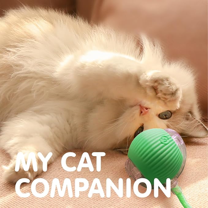 Rocfish Durable Interactive Cat Toys for Indoor Cats (Green, 01)
