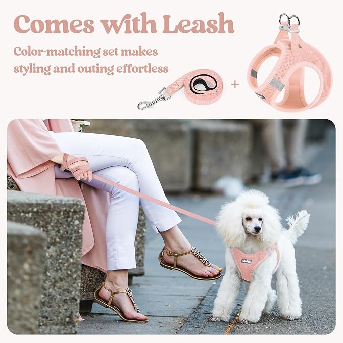 rabbitgoo Dog Harness Small Sized and Leash Set, Step-in Puppy Pet Vest | Light, Soft, Breathable Air Mesh, Easy on and Remove with Hook & Loop, Secure Reflective for Walking, Pink XXXS