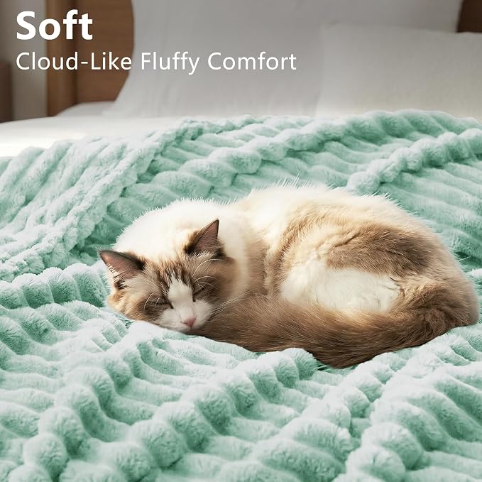 HIMEET Sage Green Twin Blanket for Bed, 300GSM Ribbed Fleece, 60 x 80 in | Ultra Soft Flannel, All-Season Lightweight Warmth, Bed Layering Pick & Dorm Essential, Gift for Men & Women, Machine Washable