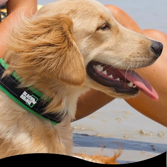 Black Rhino - The Comfort Collar Ultra Soft Neoprene Padded Dog Collar for All Breeds - Heavy Duty Adjustable Reflective Weatherproof (Small, Blue/Grey)