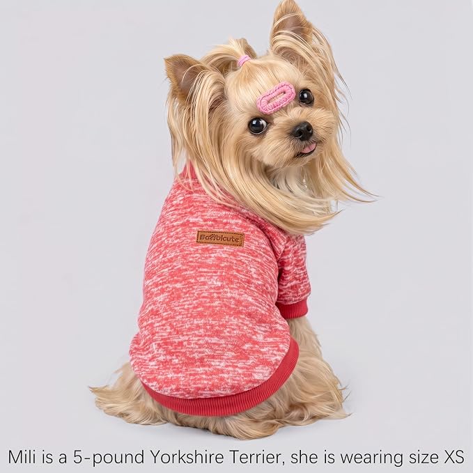 1 Pack Dog Sweaters for Small Dogs Girl Boy Winter Fleece Clothes Warm Soft Dog Sweatshirt Outfit for Dogs Cats Pet Apparel