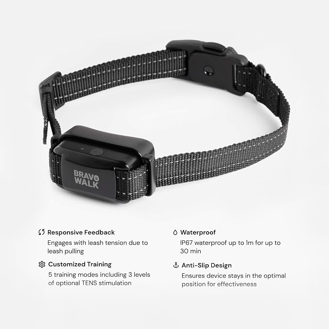 Dog Training Collar to Stop Dog from Pulling on Walks, Remote-Free (LG)