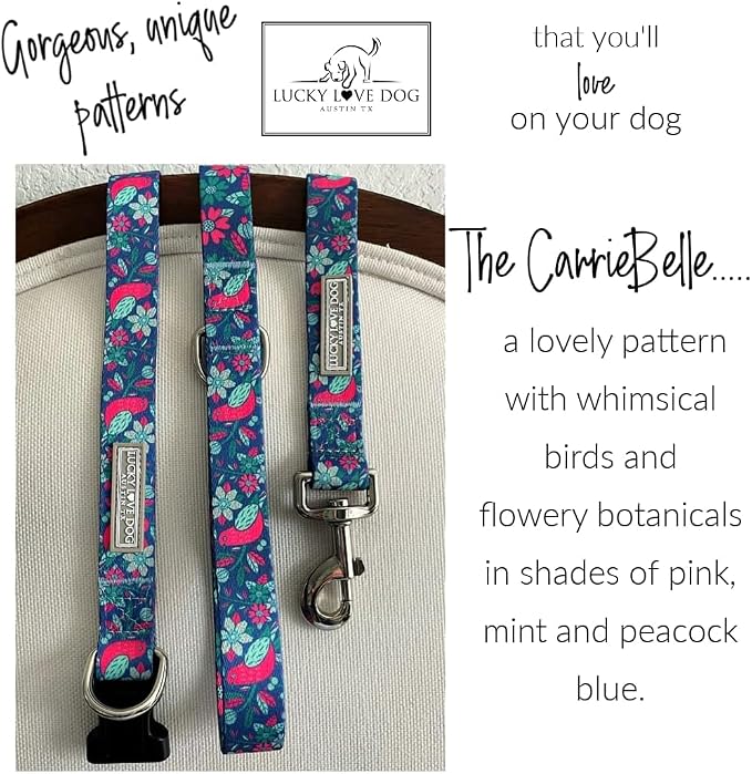 Lucky Love Dog Martingale Collar & Leash Set No Slip – Carriebelle, Large